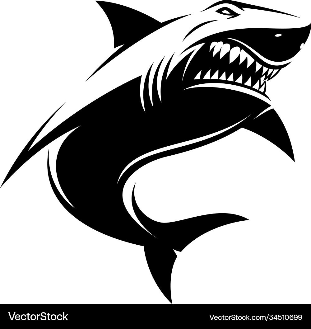 Great white ferocious shark Royalty Free Vector Image