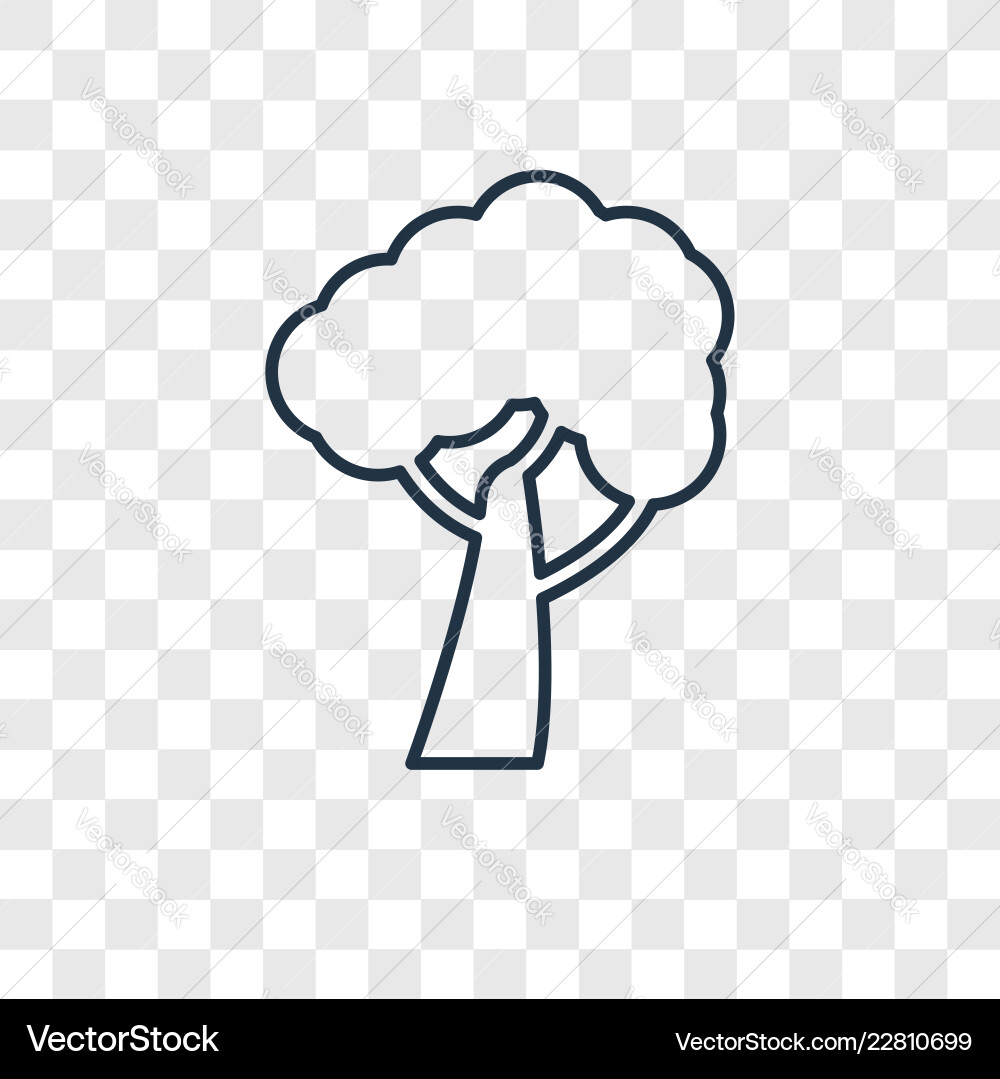 Tree of circular foliage concept linear icon vector image