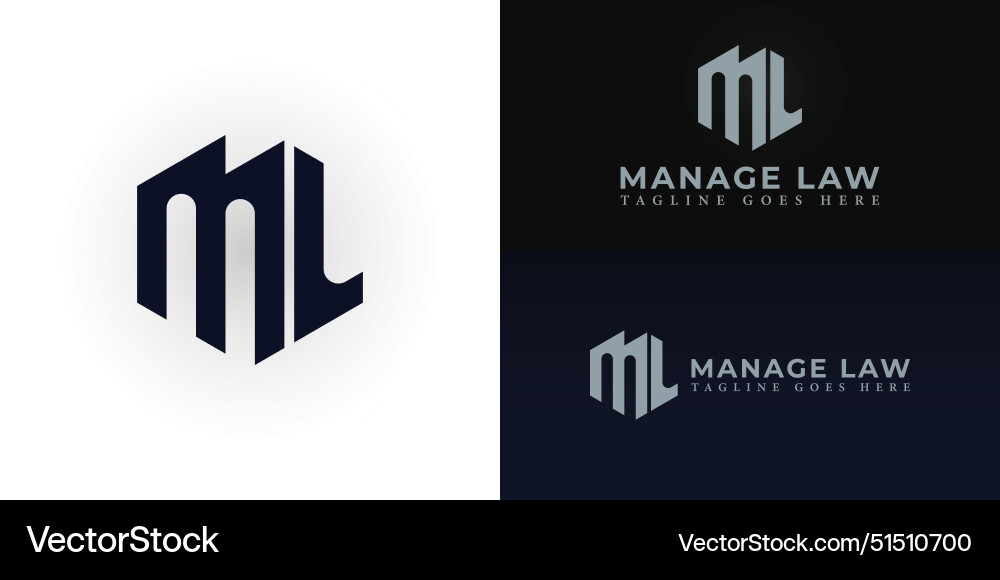 Abstract initial hexagon letters ml or lm logo Abstract initial hexagon letters ml or lm logo Vector Image