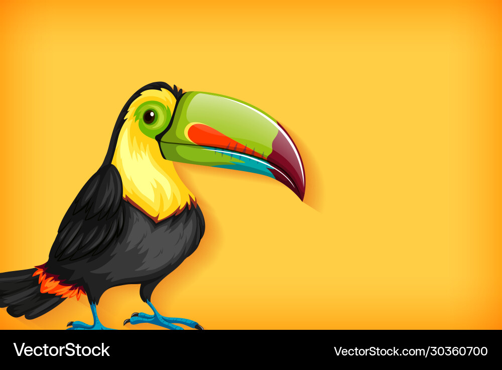 Background template with plain color and toucan Background template with plain color and toucan vector image