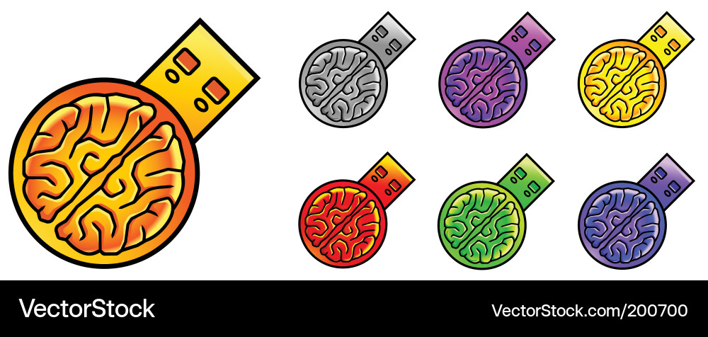 Flash Memory Storage vector image