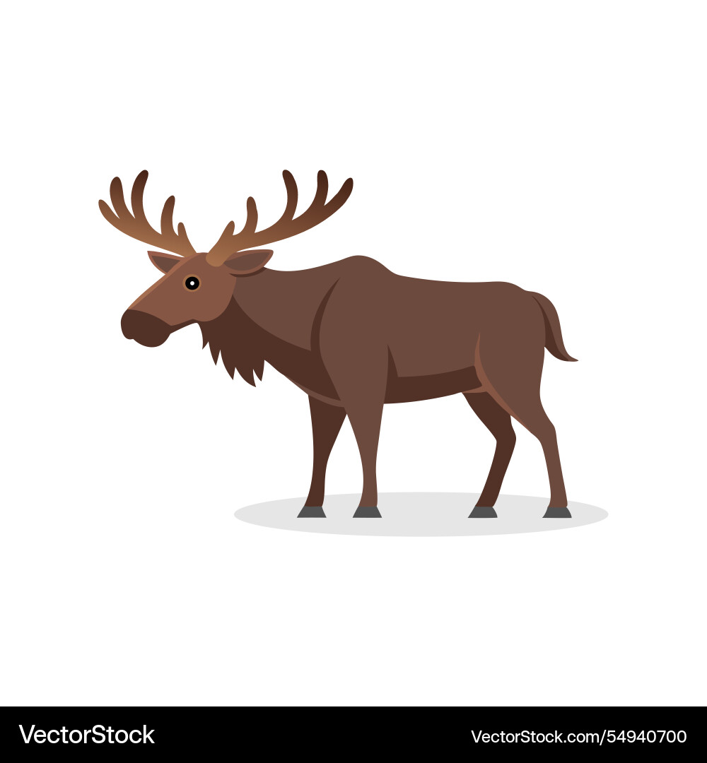 Moose side view isolated flat on white background Vector Image