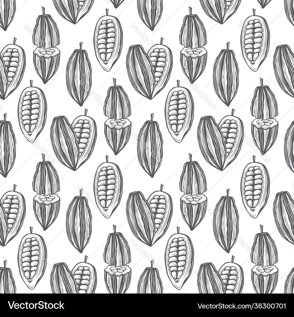 Cocoa Bean Seamless Pattern Vector Image