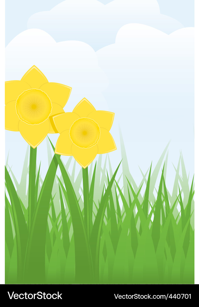 Spring Daffodils vector image
