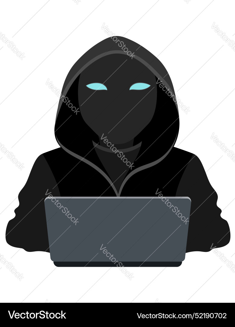 Hacker Programmer in Hooded Sweater vector image
