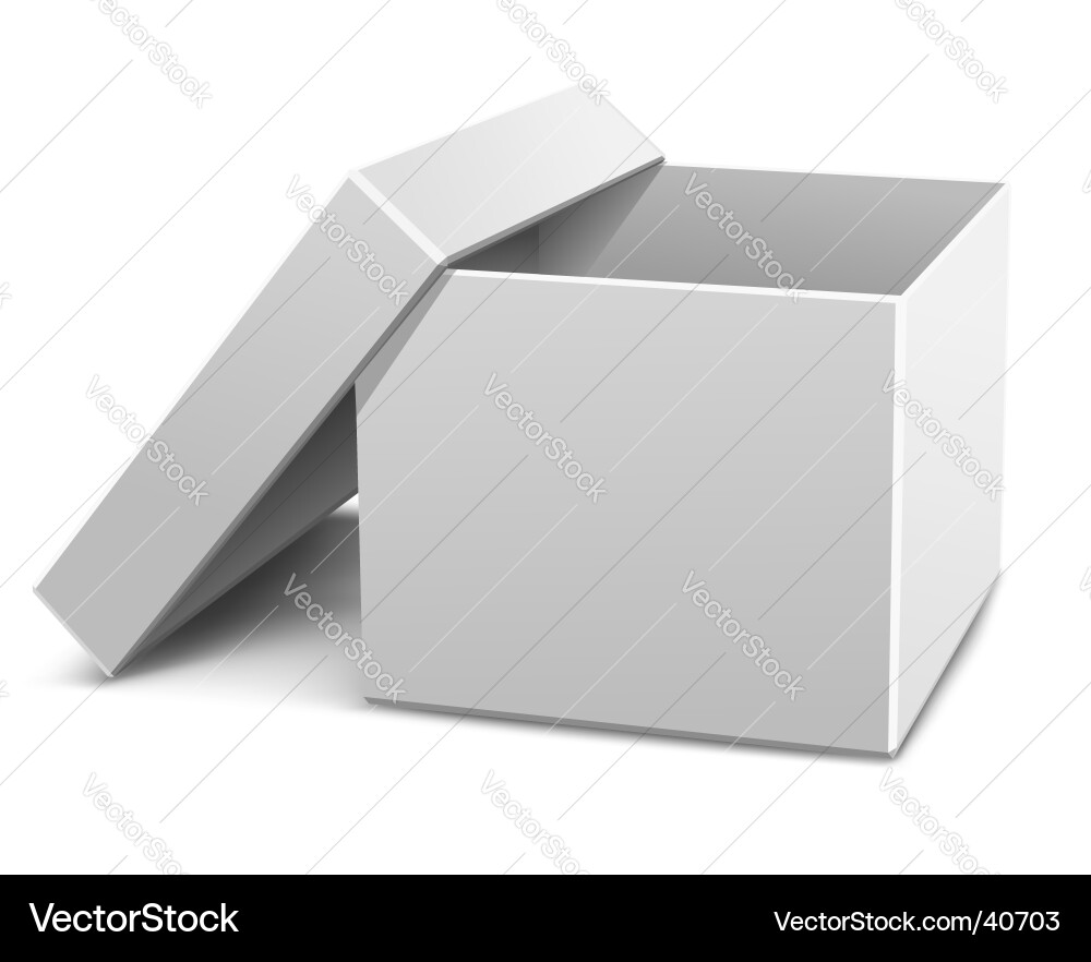 White Empty Cardboard Box Vector Image