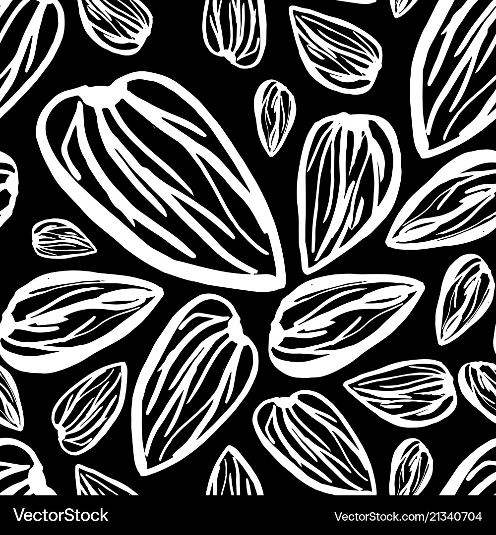 Almonds pattern on black background Almonds pattern on black background vector image