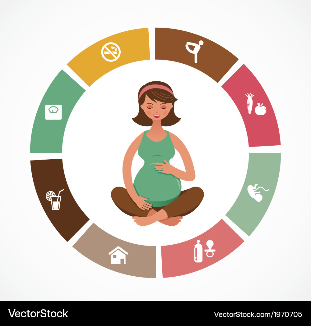 Schwangerschaft & Geburt Icons - Infografik Set