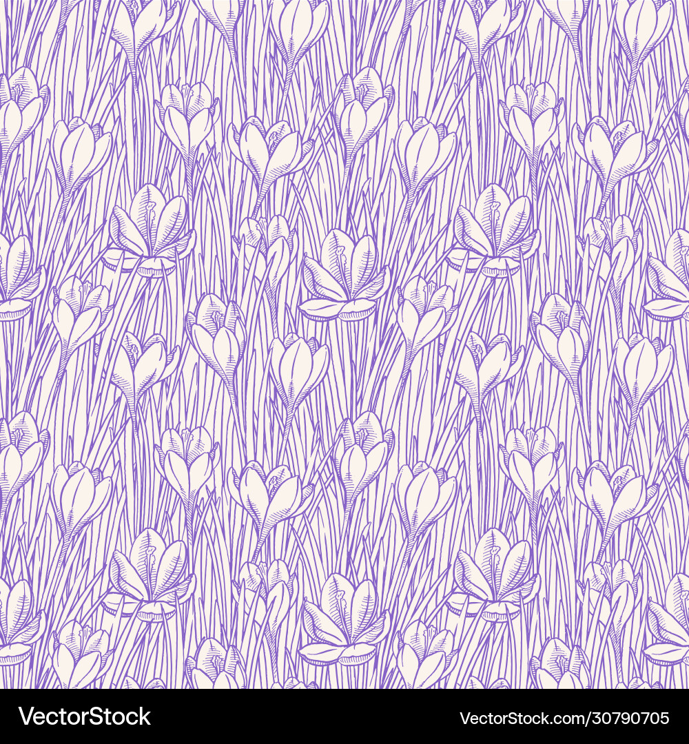 Seamless background with sketch crocuses Vector Image