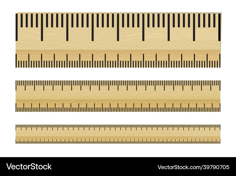 Simple of measure scale isolated Vector Image