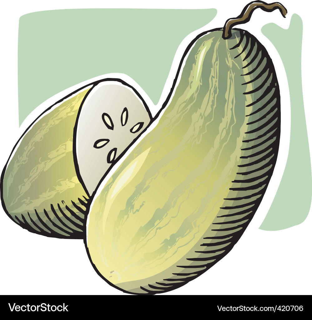 Cucumber Vector Image