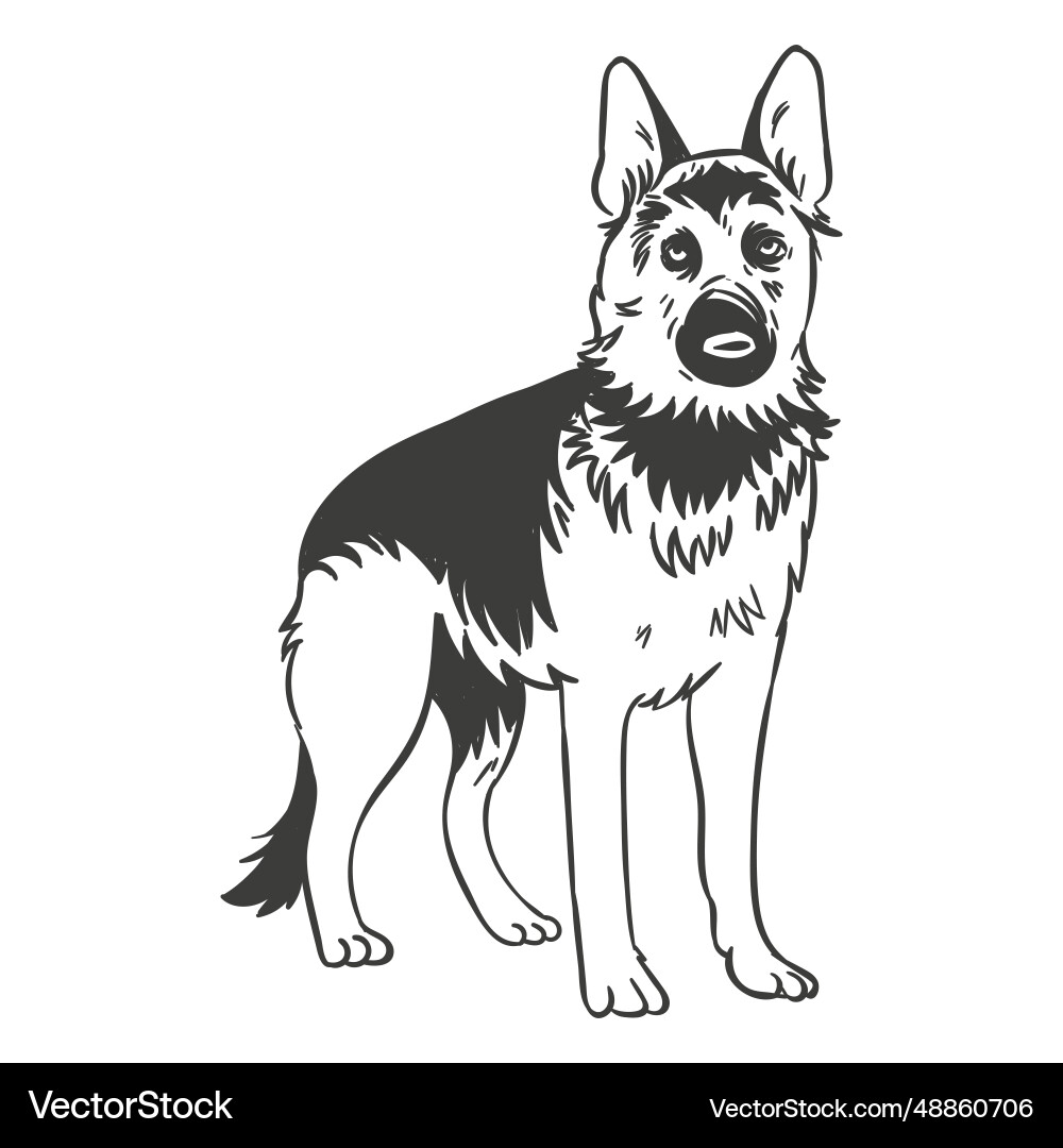Deutsche Schäferhund Stehhand gezeichnet Deutsche Schäferhund Stehhand gezeichnet vektorbild
