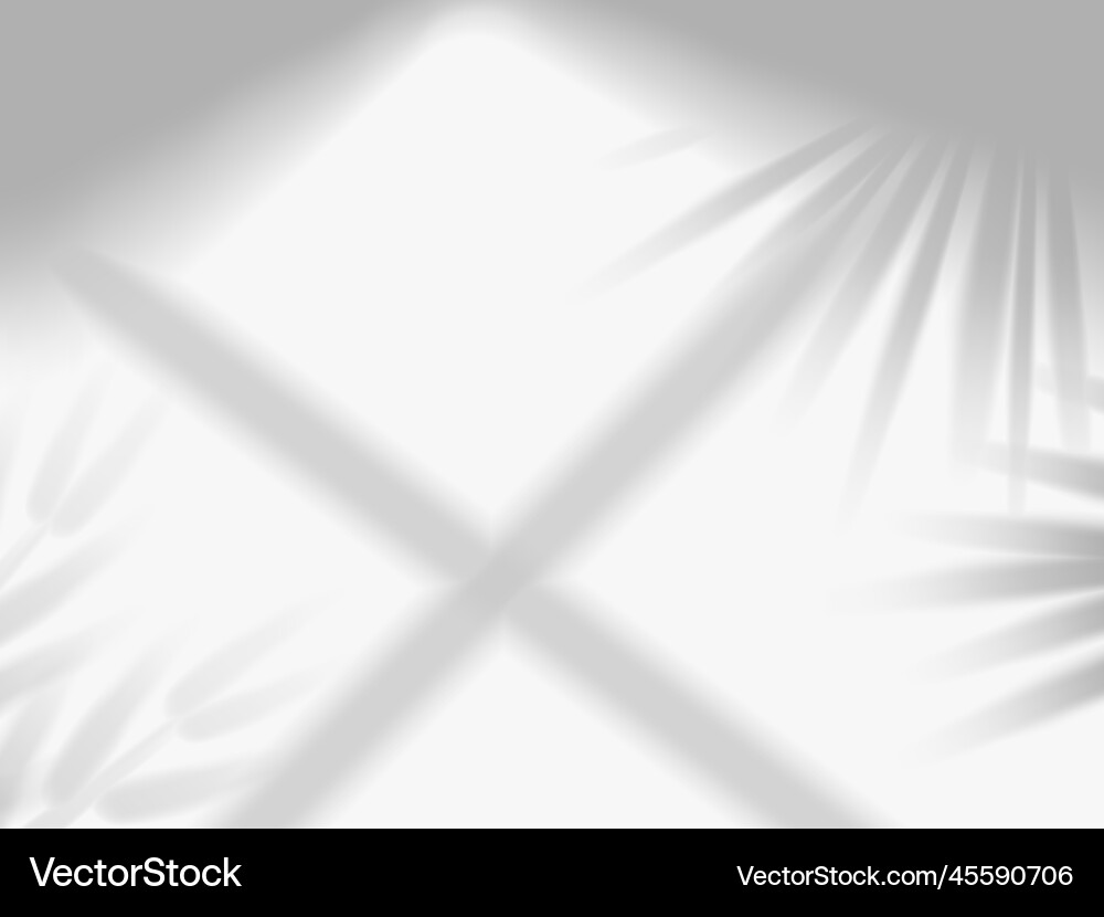 Schatten mockup Sonnenlicht Overlay Effekt aus Fenster Schatten mockup Sonnenlicht Overlay Effekt aus Fenster vektorbild