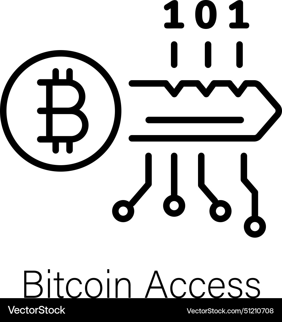 Bitcoin access Vector Image