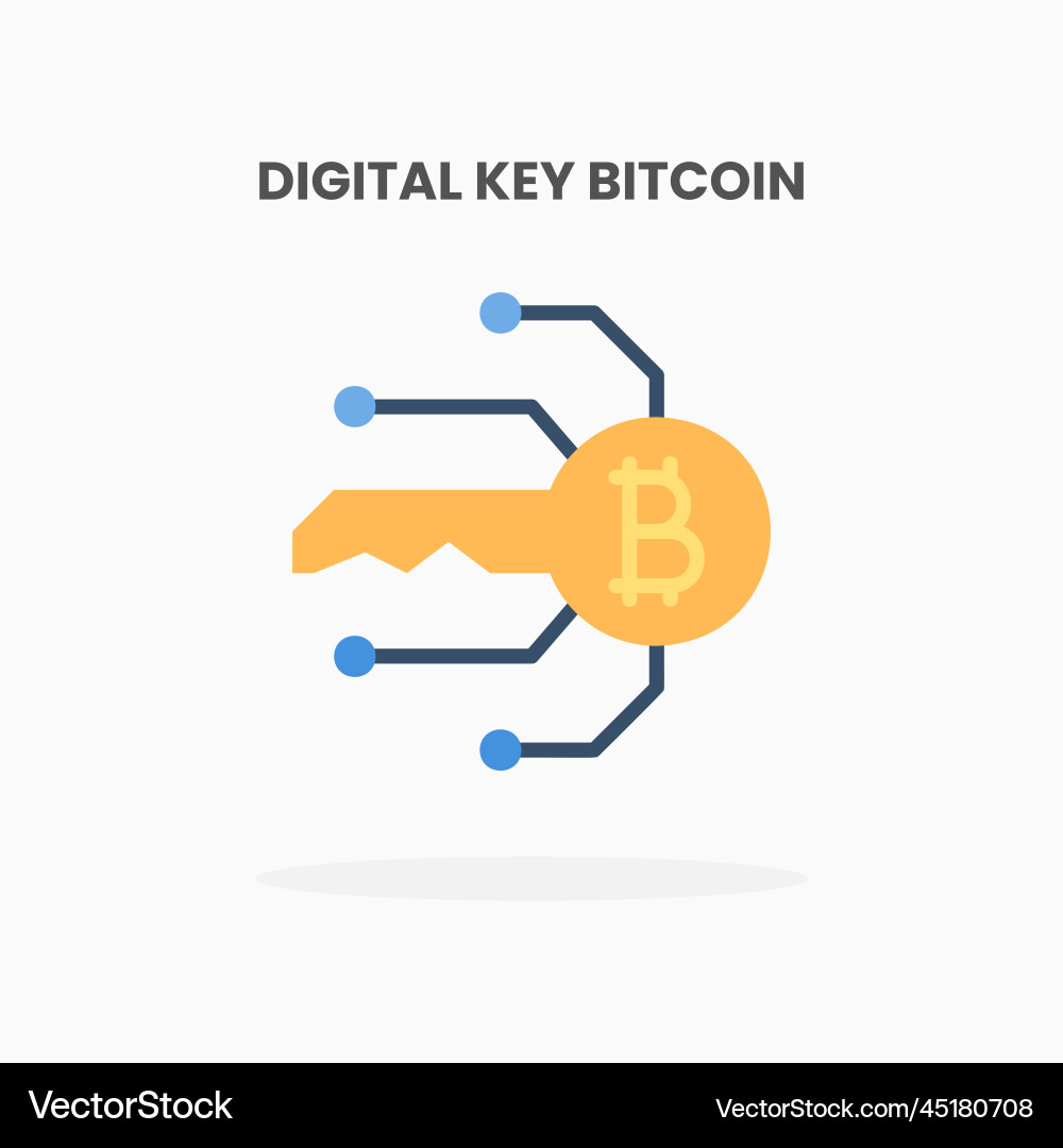 Digital key secure bitcoin icon flat vector image