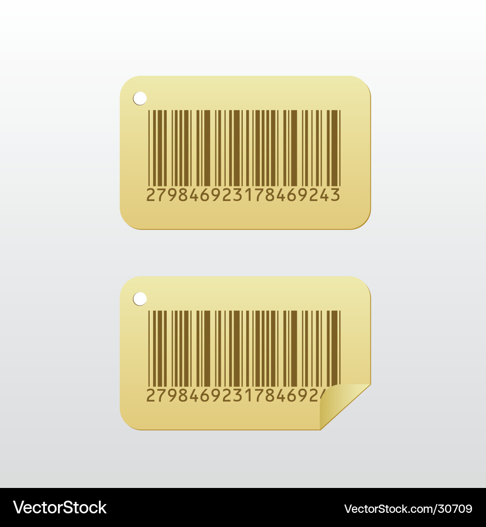 Barcode Scanner vector image