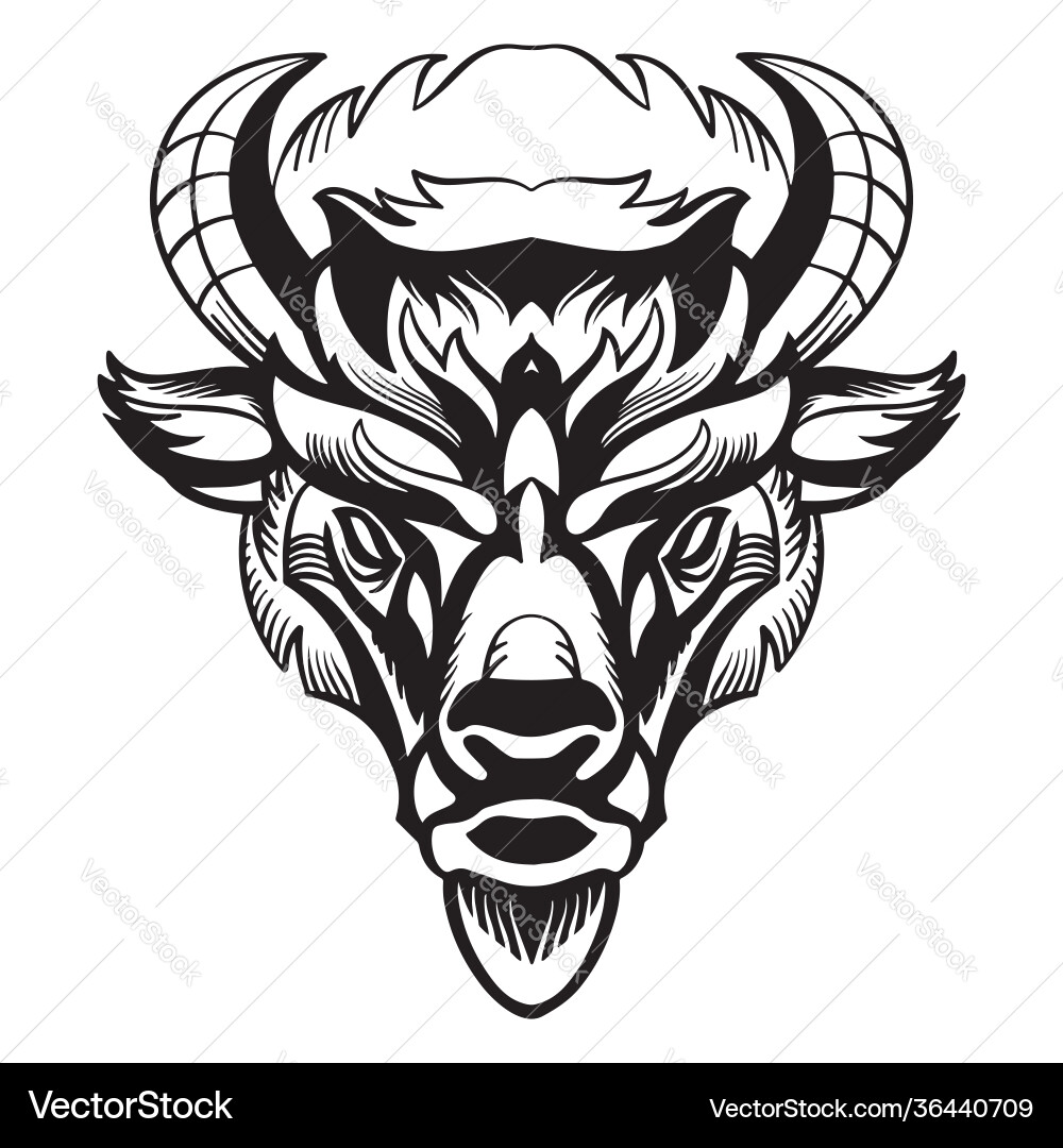 Head mascot bison isolated on white vector image