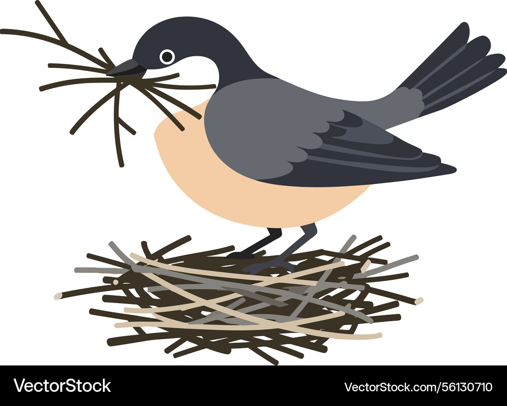 Bird building a nest with twigs in minimal flat Vector Image