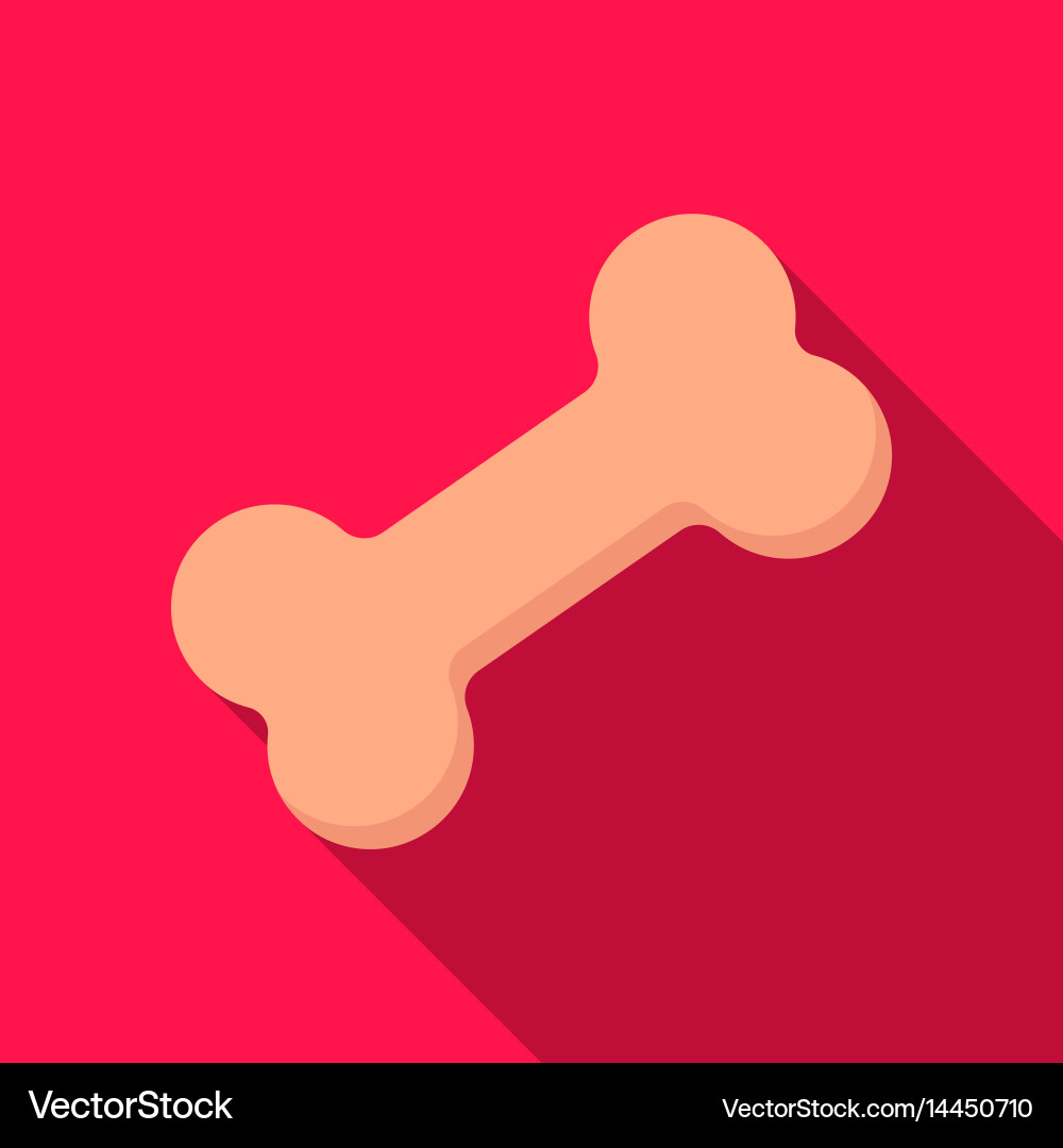 Bone icon in flat style for web vector image