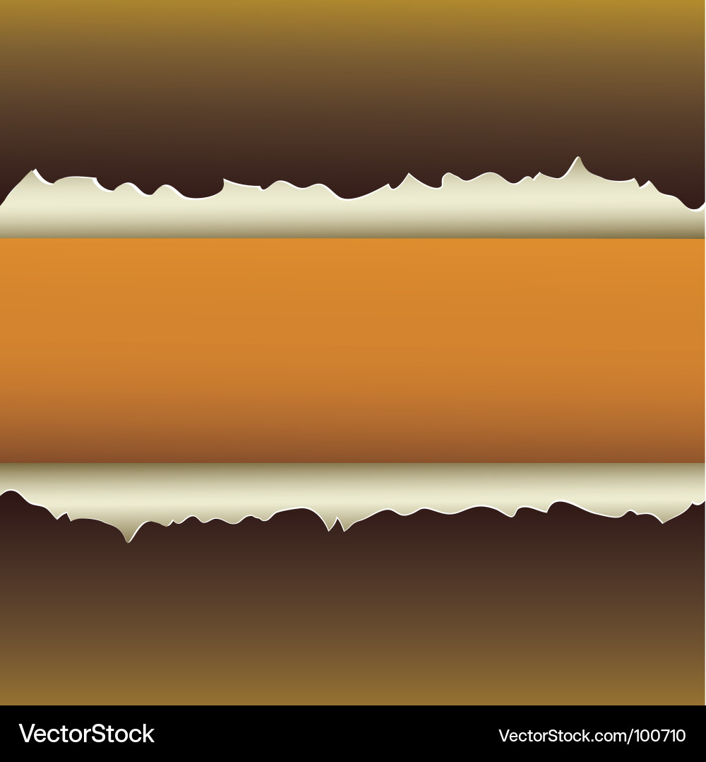 Paper background Vector Image