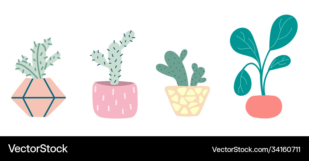 A set potted domestic plants cacti succulents A set potted domestic plants cacti succulents vector image