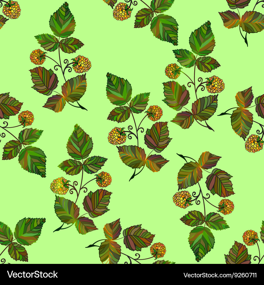 Ector colored raspberry pattern vector image