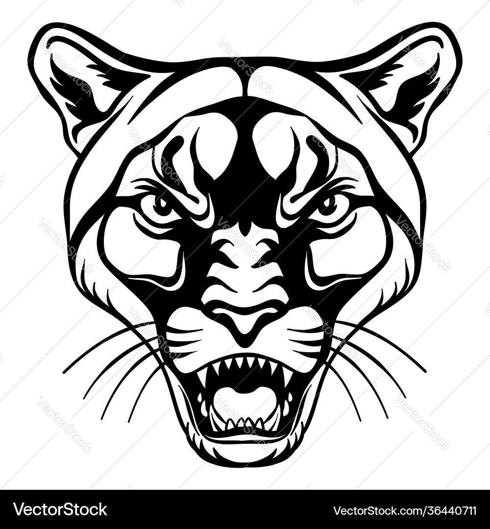 Head mascot cougar isolated on white Head mascot cougar isolated on white vector image