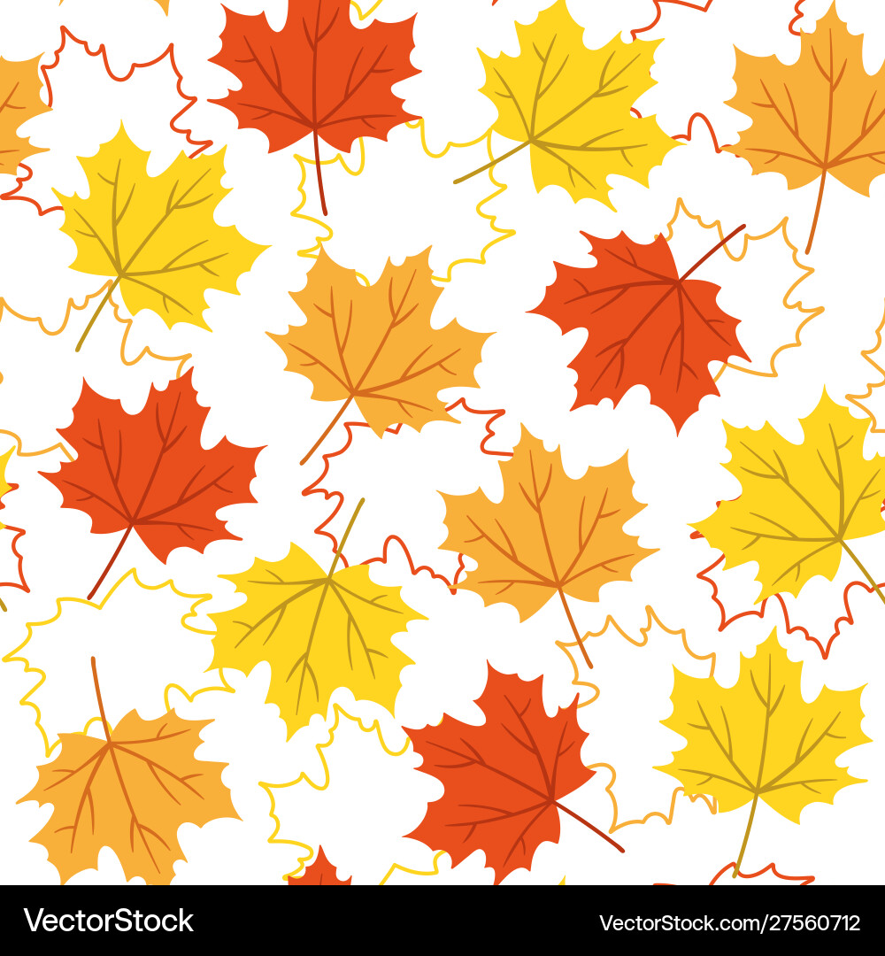 Autumn maple leaf pattern on white background Vector Image