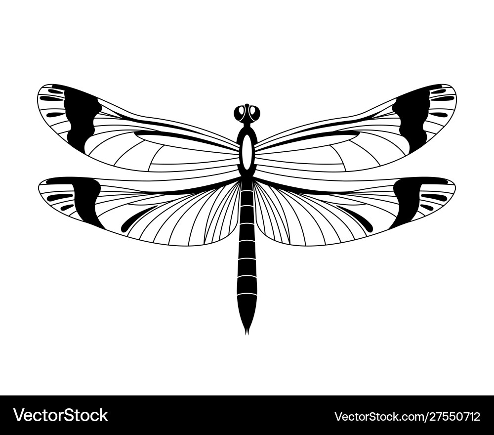 Black dragonfly icon isolated on white Vector Image