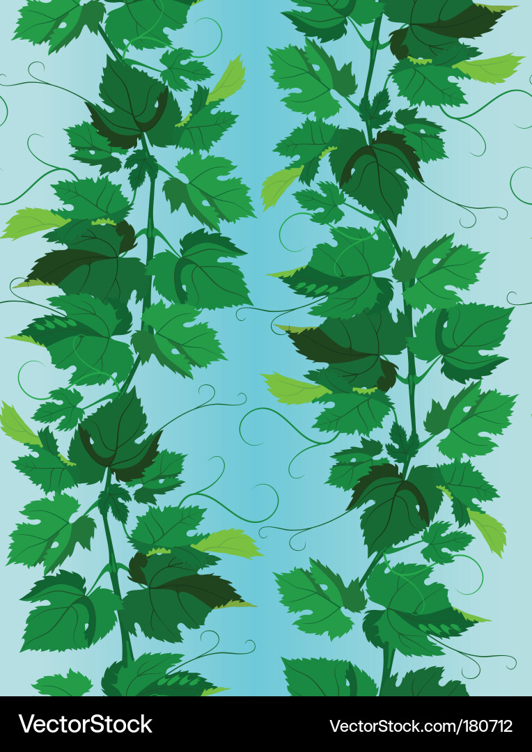 Elegant Grapevine Pattern vector image