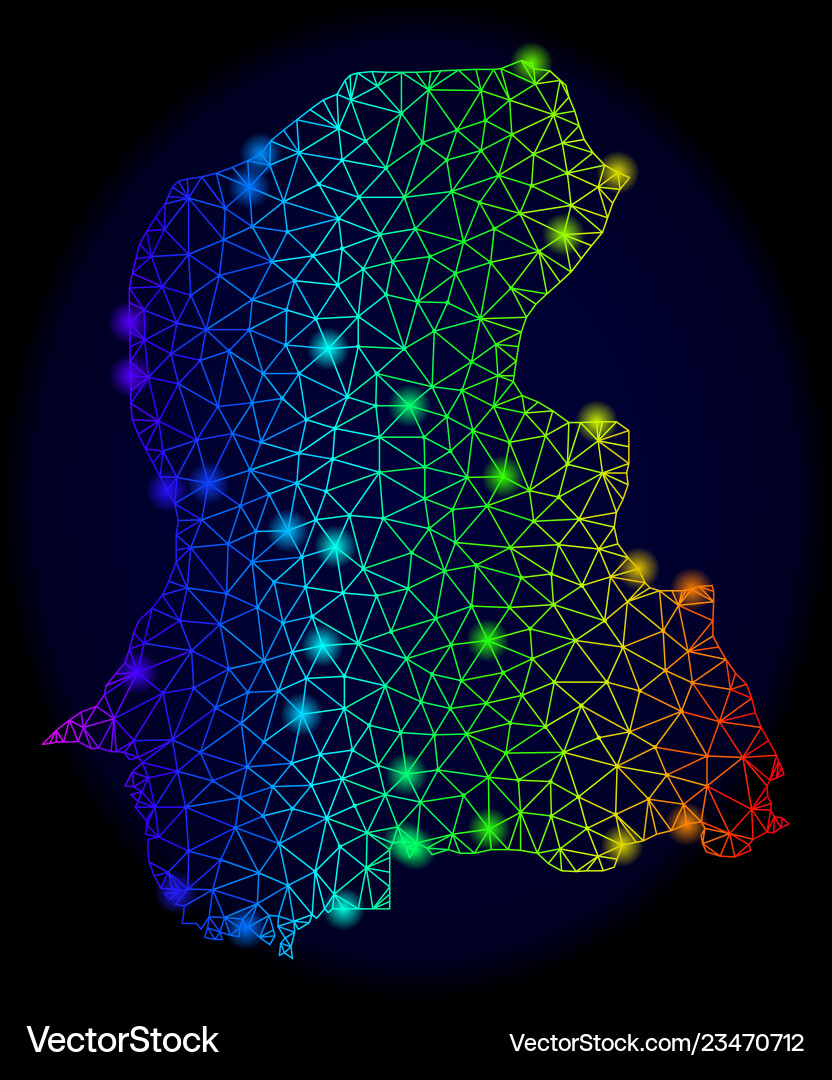 Polygonal network spectrum mesh map Polygonal network spectrum mesh map vector image