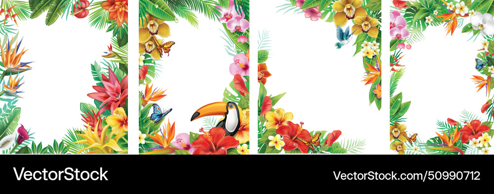 Set of frames and from tropical flowers Vector Image