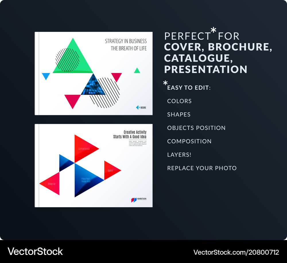 Triangular design presentation template Triangular design presentation template vector image