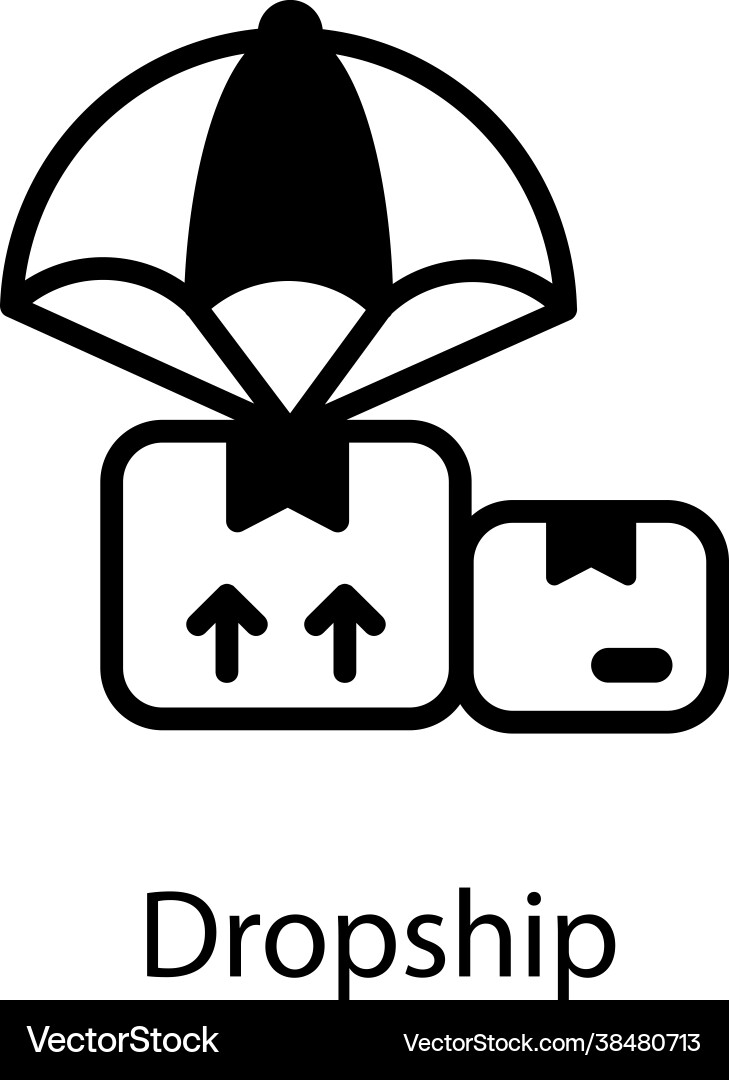 Dropship Vector Image