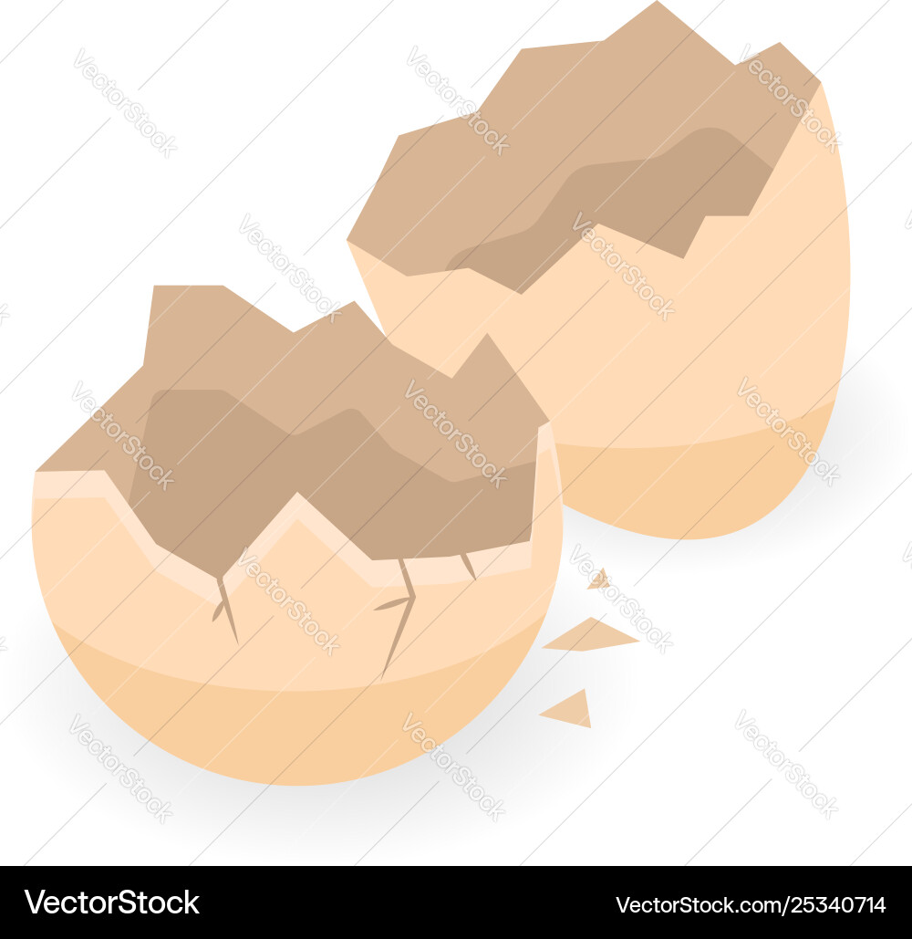Empty eggshell icon isometric style Vector Image
