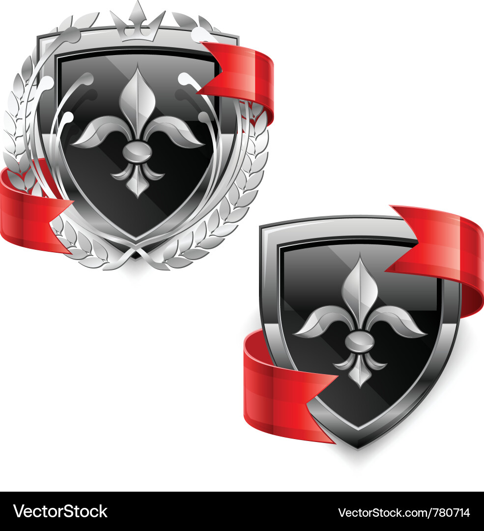 Shield security icons Vector Image
