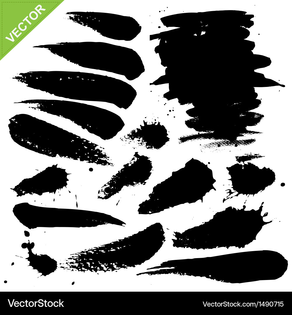Brush strokes Royalty Free Vector Image - VectorStock
