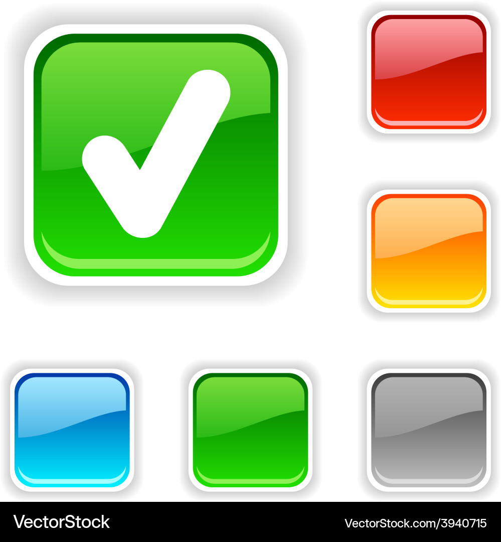 Check button Vector Image