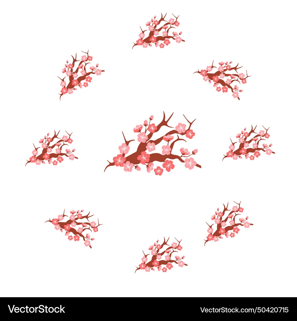 Sakura pattern the on seamless Sakura pattern the on seamless Vector Image