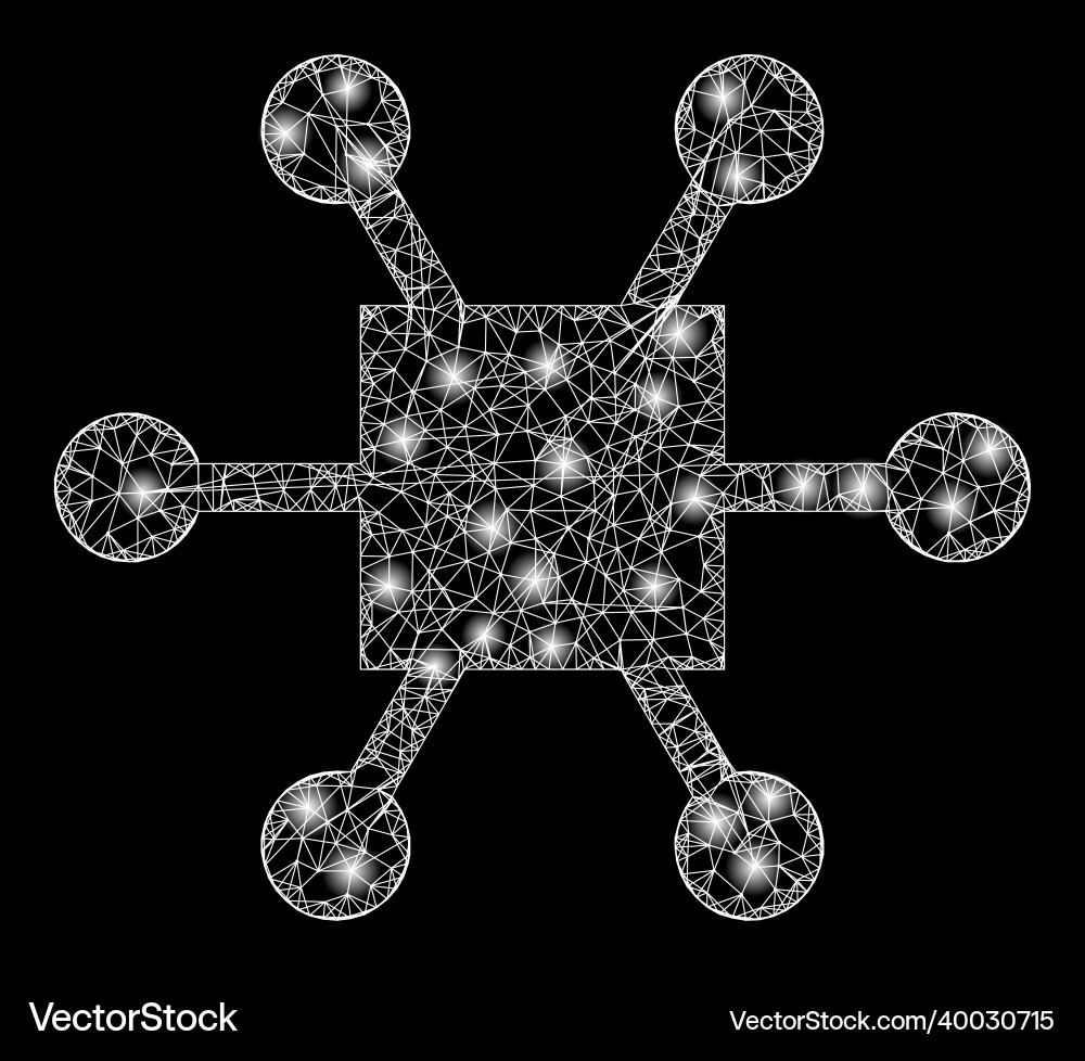 Shiny net mesh nodes hub with lightspots Shiny net mesh nodes hub with lightspots vector image