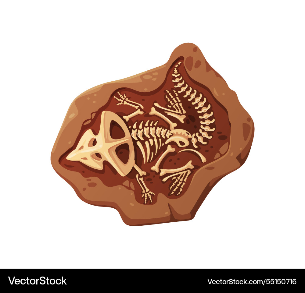 Dino fossil skeleton bones isolated dinosaur relic Dino fossil skeleton bones isolated dinosaur relic vector image