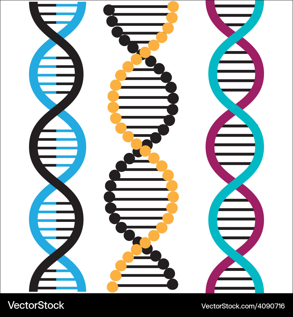 DNA Helix Pattern Vector Image