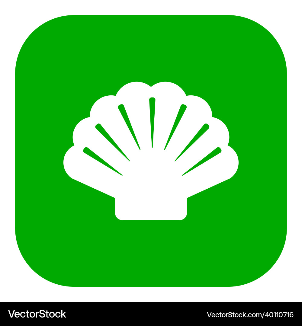 Shell and app icon Vector Image