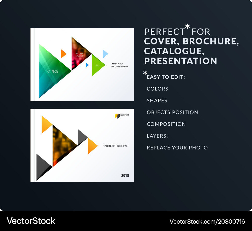 Triangular Presentation Template vector image