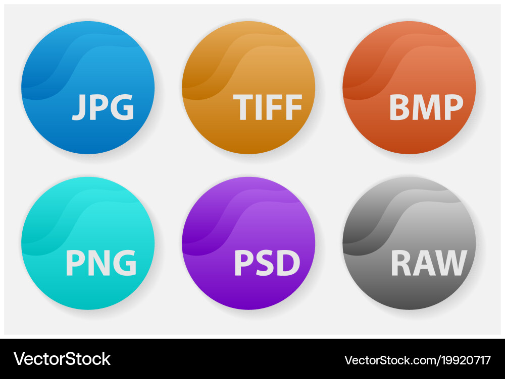 Image file types formats labels icon set Vector Image