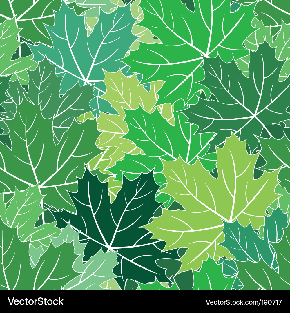 Maple seamless Vector Image