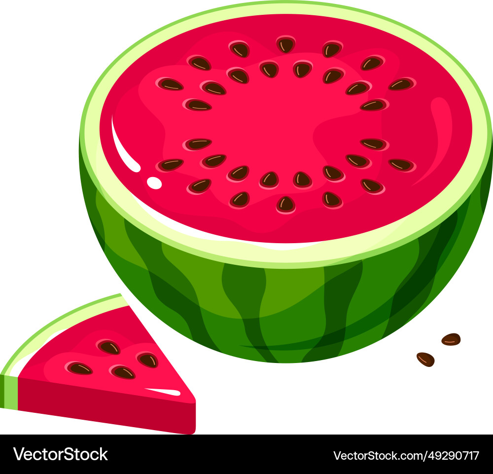 Ripe Watermelon Slice Royalty Free Vector Image