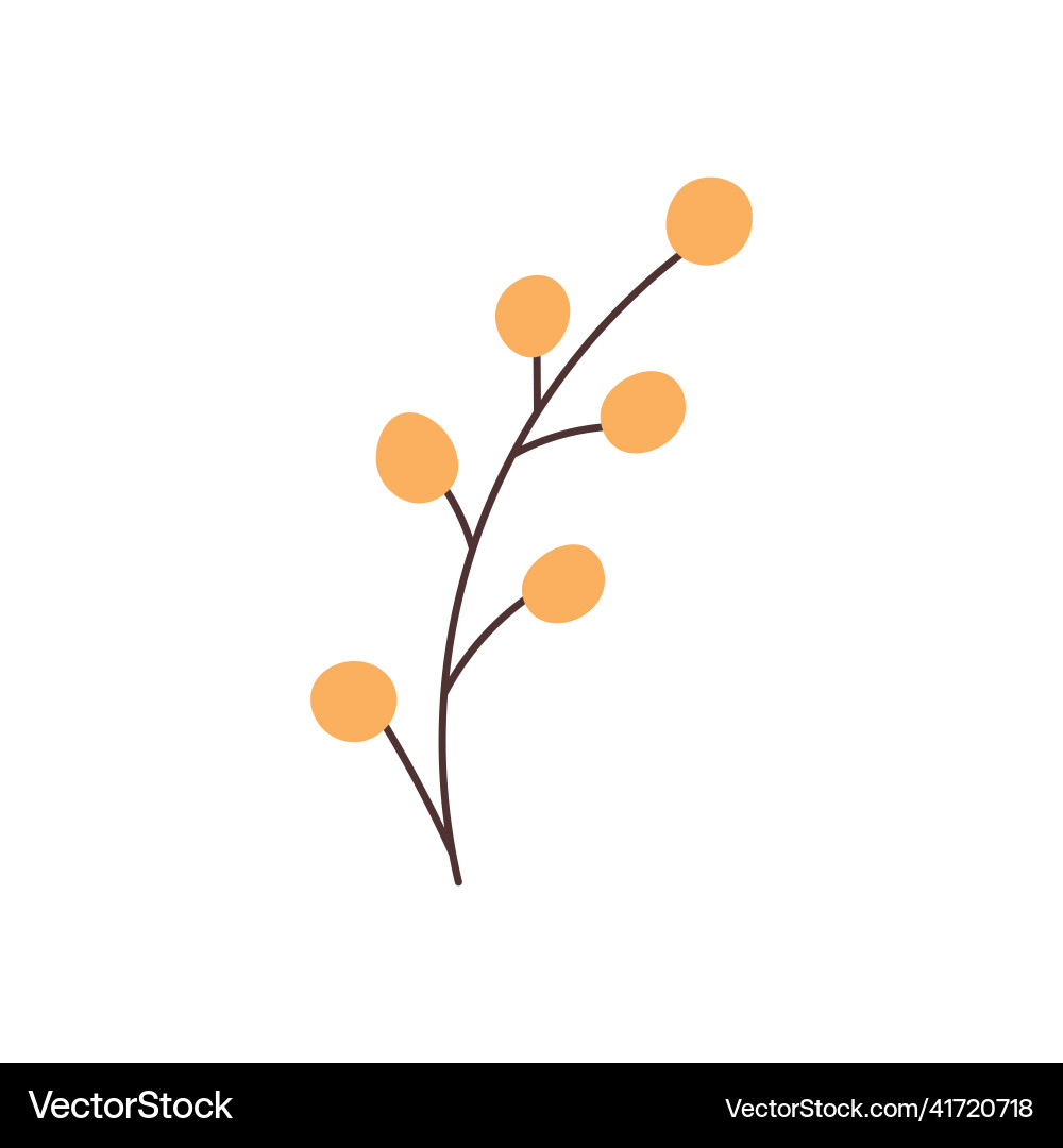 Hand drawn branch element for your design Hand drawn branch element for your design vector image