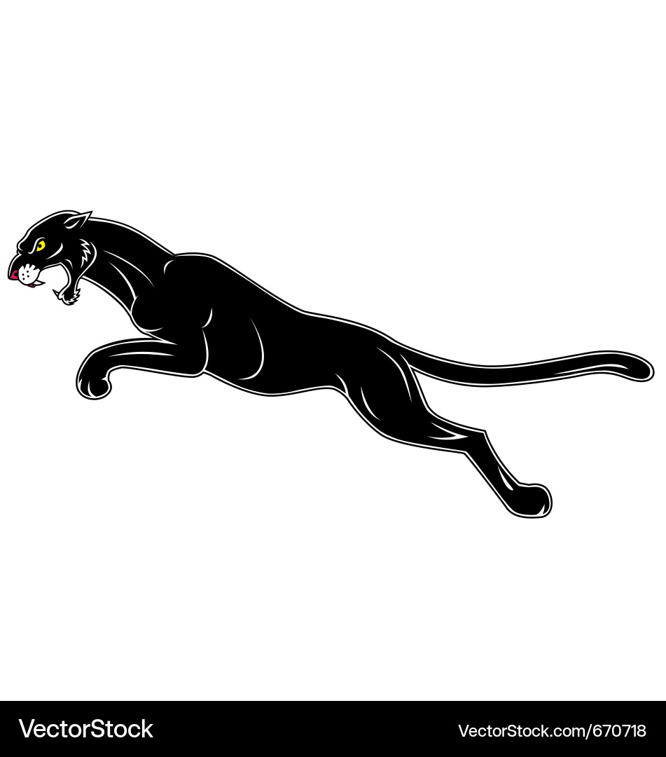Powerful Black Panther vector image