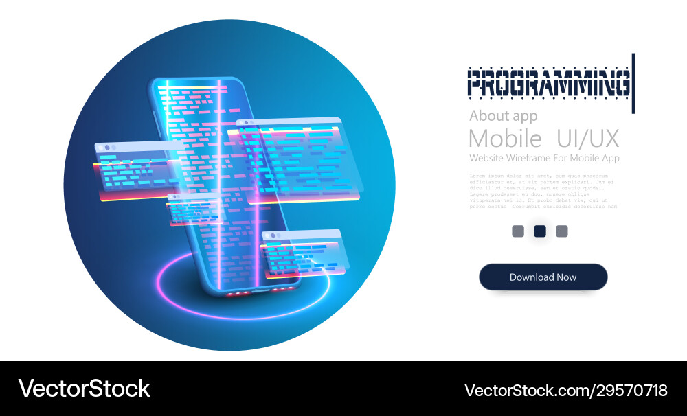 Programming web banner creation digital software vector image